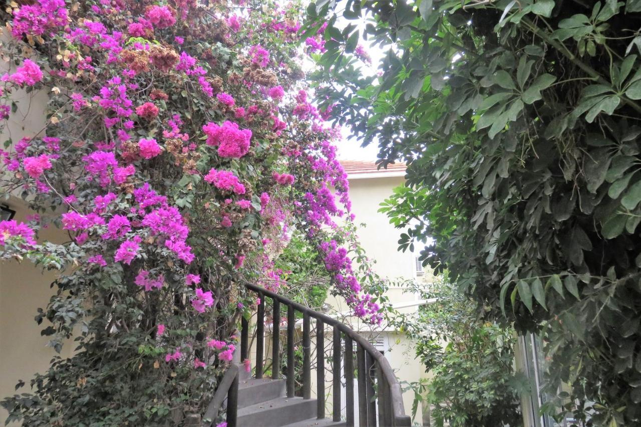 Sacha Tourist Residence 2 มาเฮบอร์ก ภายนอก รูปภาพ